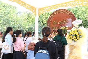 Hình nhỏ