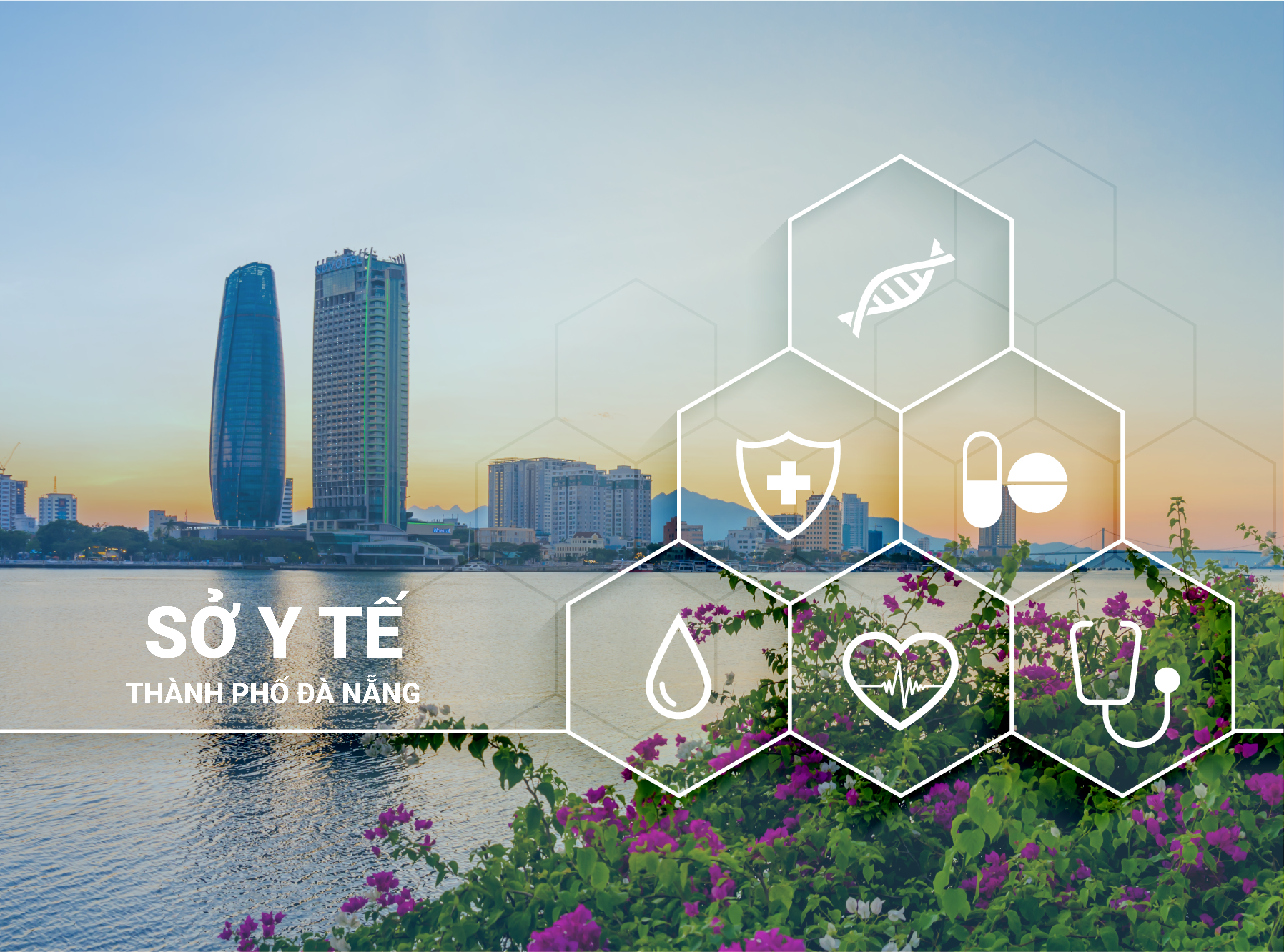 Sơ đồ tổ chức